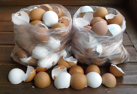 Tojáshéj Újrahasznosítása: A Háztartás Praktikus Segítője